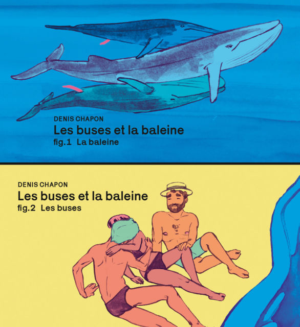 Les buses et la baleine