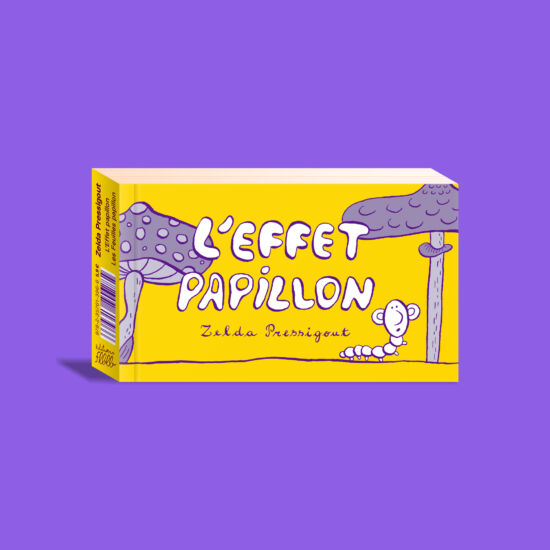 Vue 3D du recto du flipbook de Zelda Pressigout "L'effet papillon"